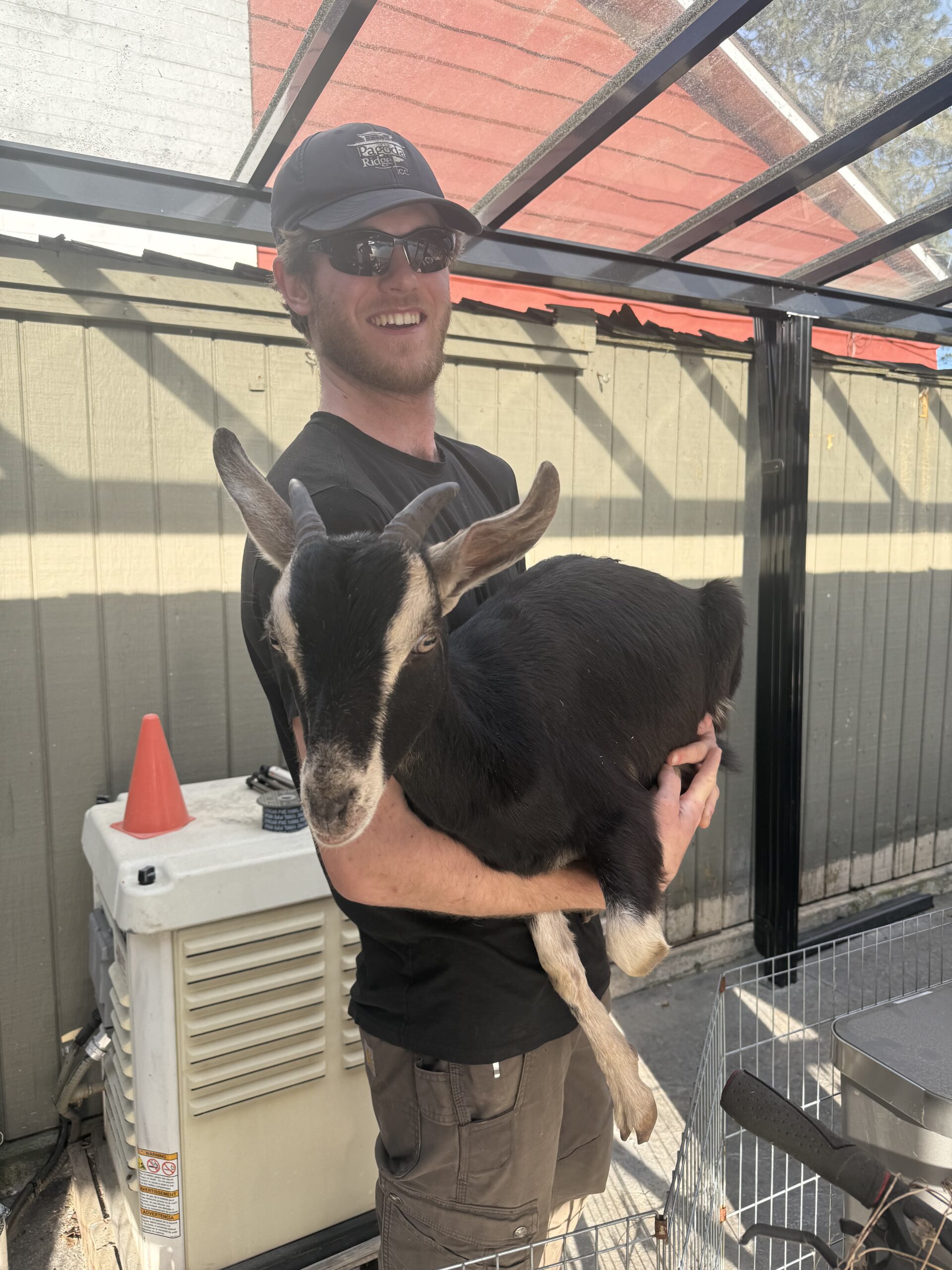 man holding goat